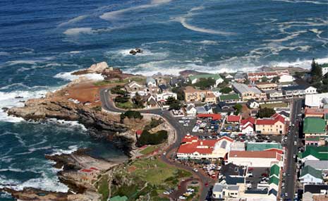 Hermanus